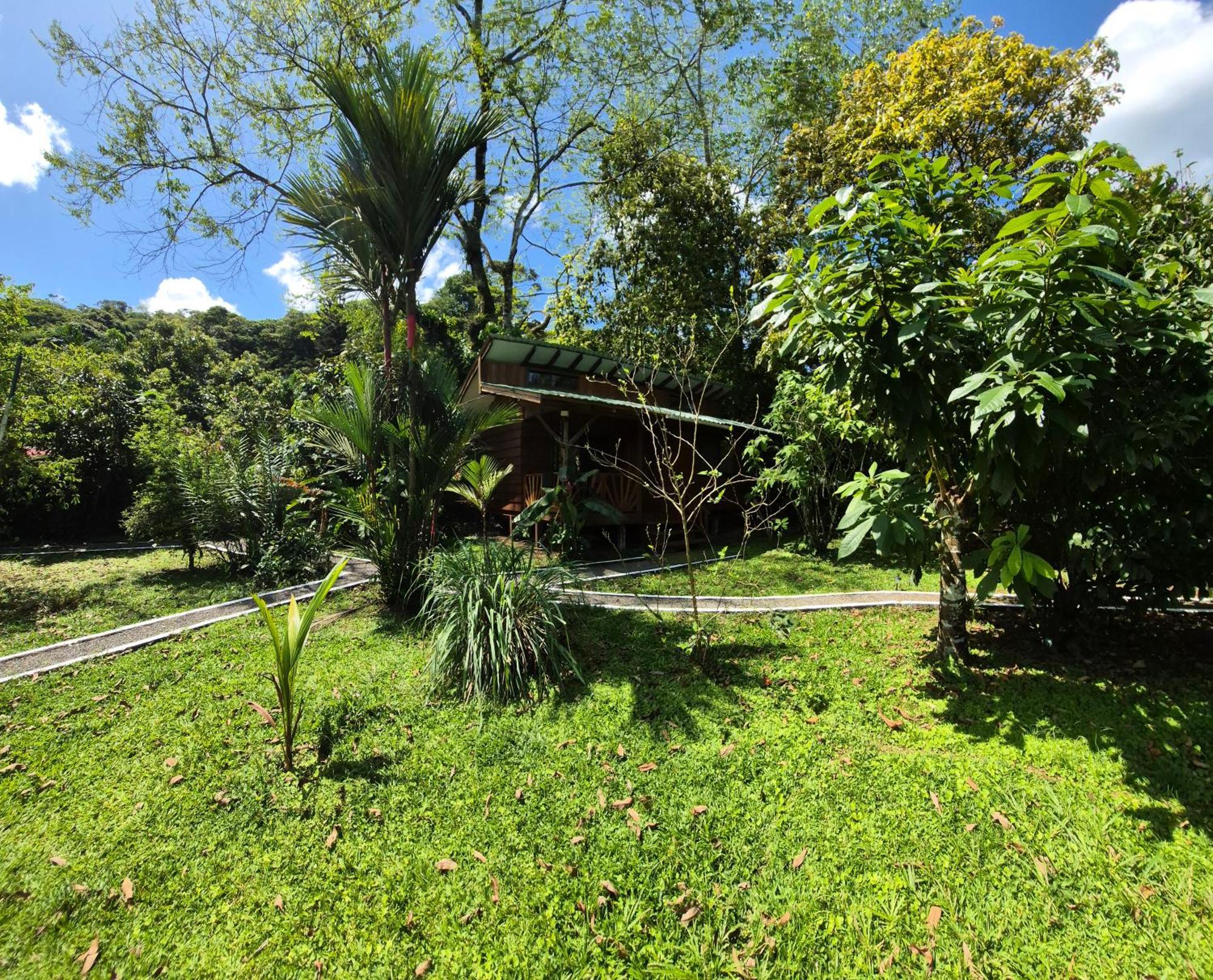 Centro Ananda Bed & Breakfast Guapiles Ngoại thất bức ảnh