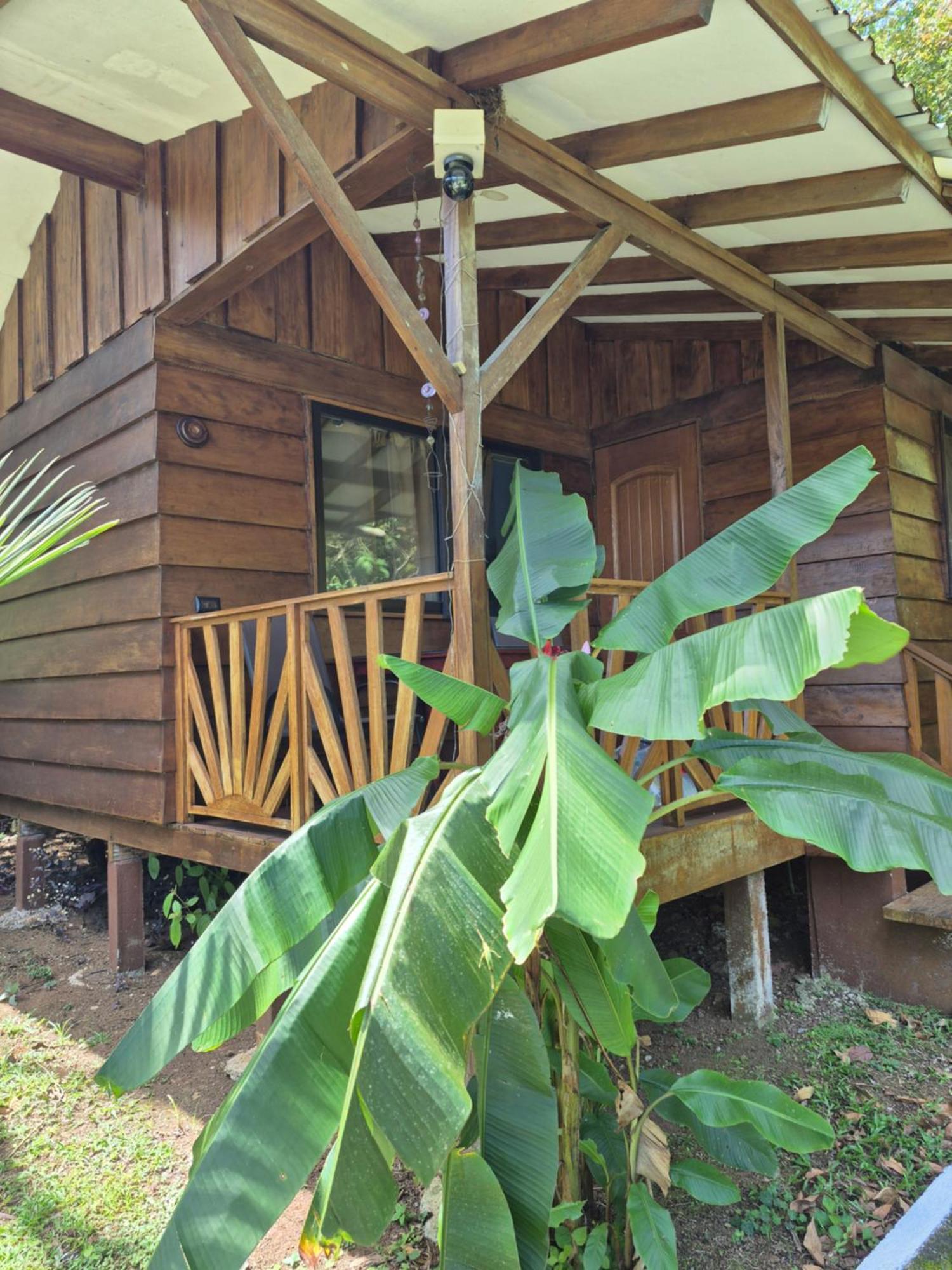 Centro Ananda Bed & Breakfast Guapiles Ngoại thất bức ảnh
