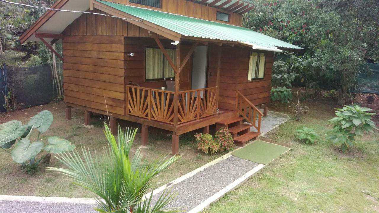 Centro Ananda Bed & Breakfast Guapiles Ngoại thất bức ảnh